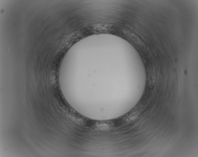 X0000073480706200608211625