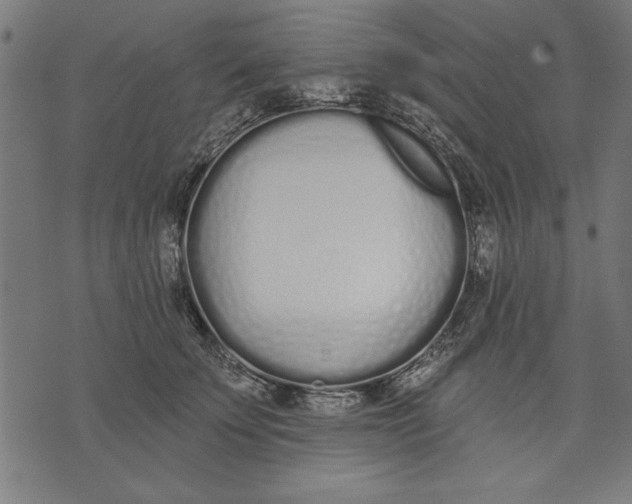 X0000073480707200608211625