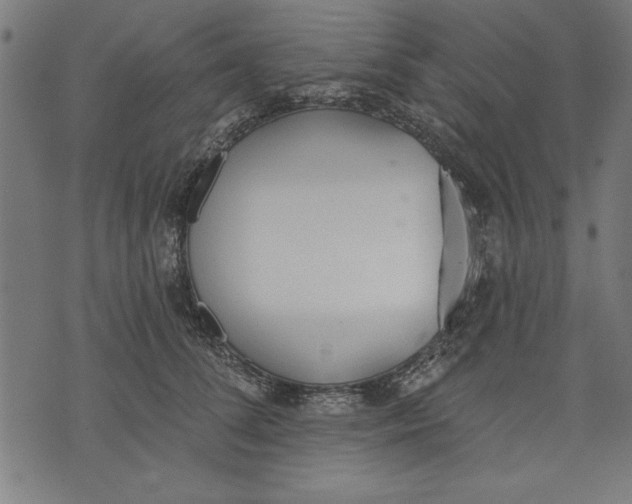 X0000073480708200608211625