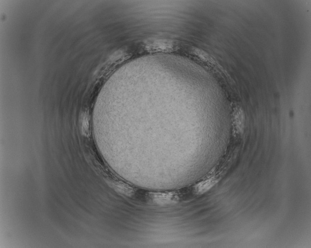 X0000073480709200608211625