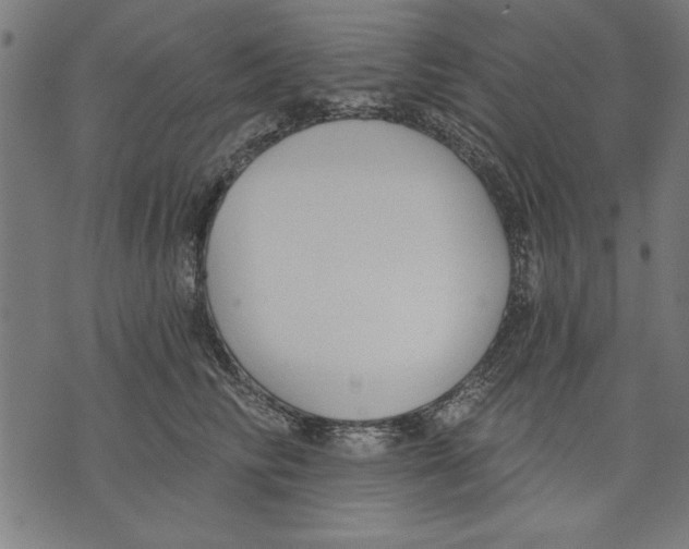 X0000073480710200608211625