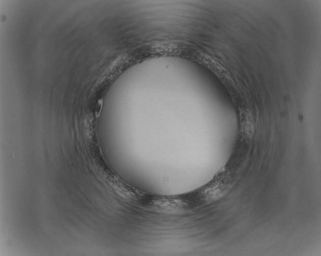 X0000073480712200608211625