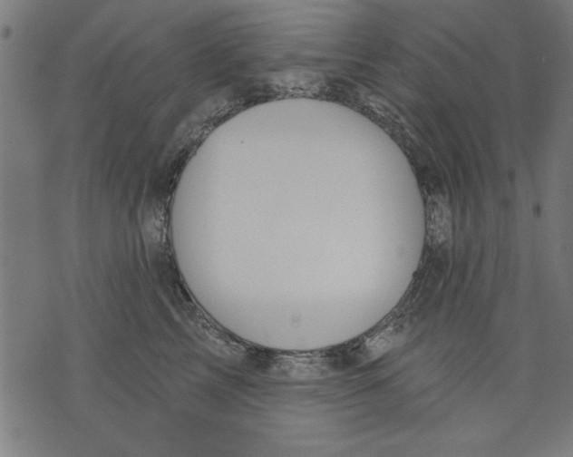 X0000073480713200608211625