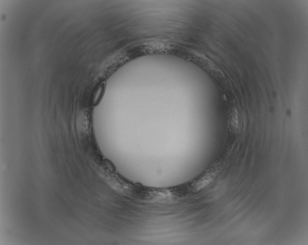 X0000073480715200608211625