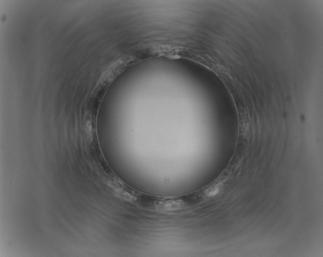 X0000073480716200608211625