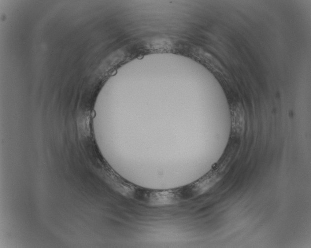 X0000073480717200608211625