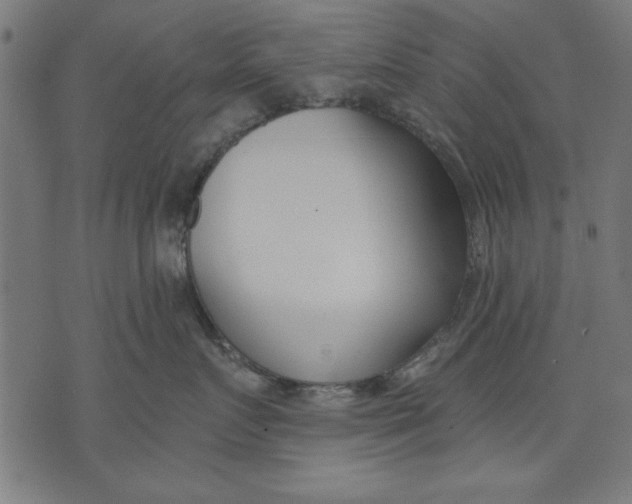 X0000073480719200608211625