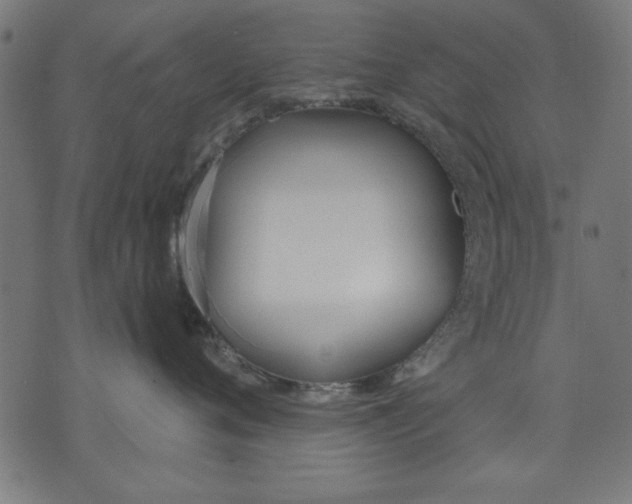 X0000073480720200608211625