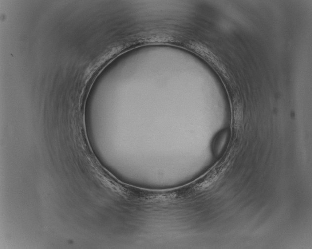 X0000073480721200608211624