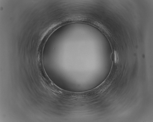 X0000073480723200608211624