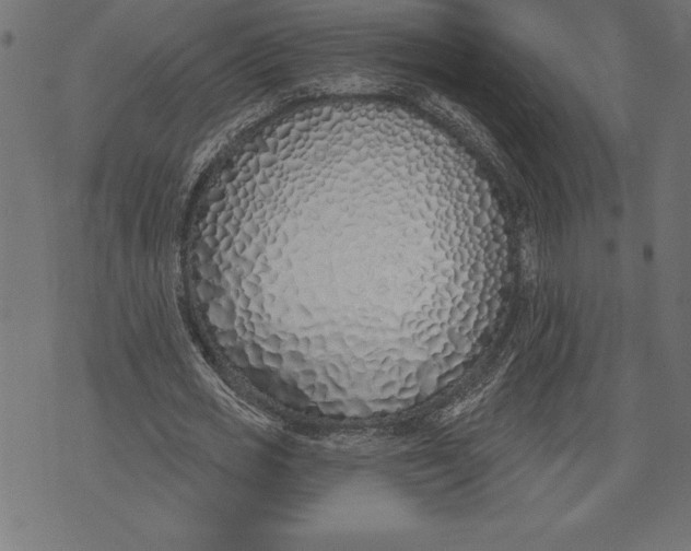 X0000073480725200608211624