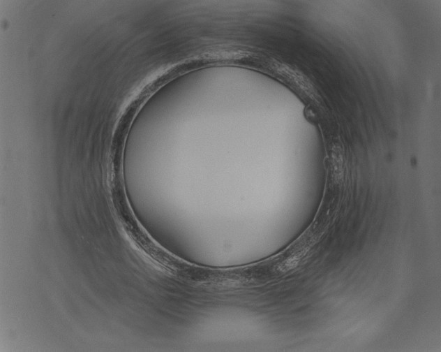 X0000073480726200608211624