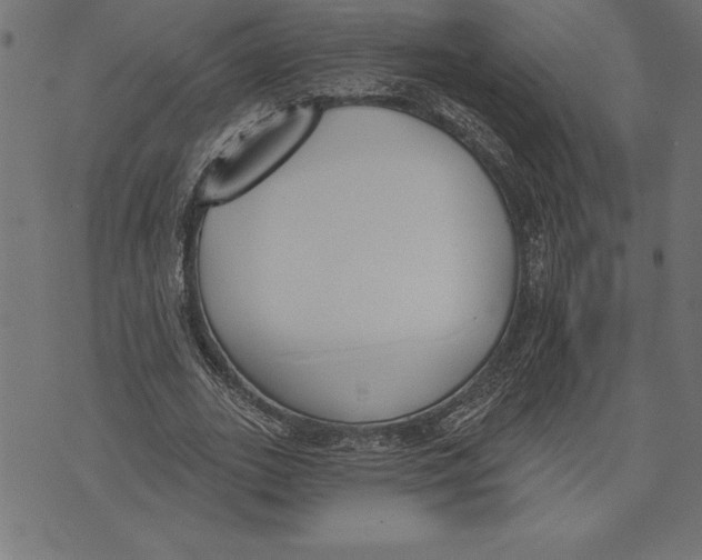 X0000073480727200608211624