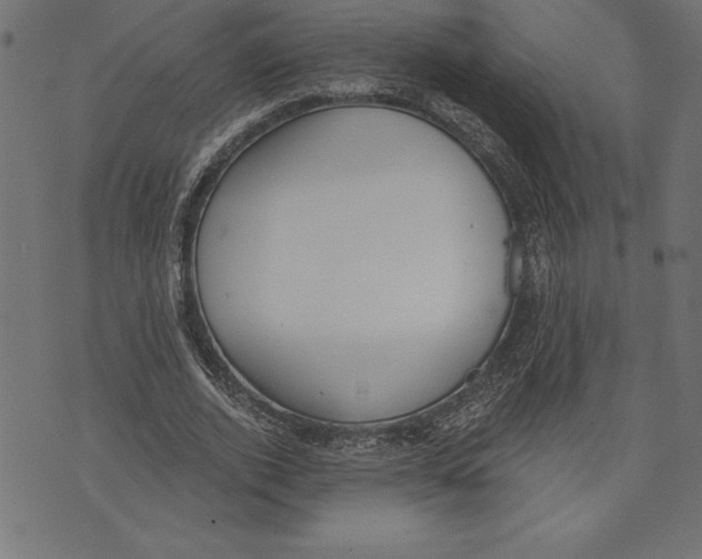 X0000073480728200608211624