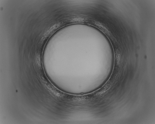 X0000073480729200608211624