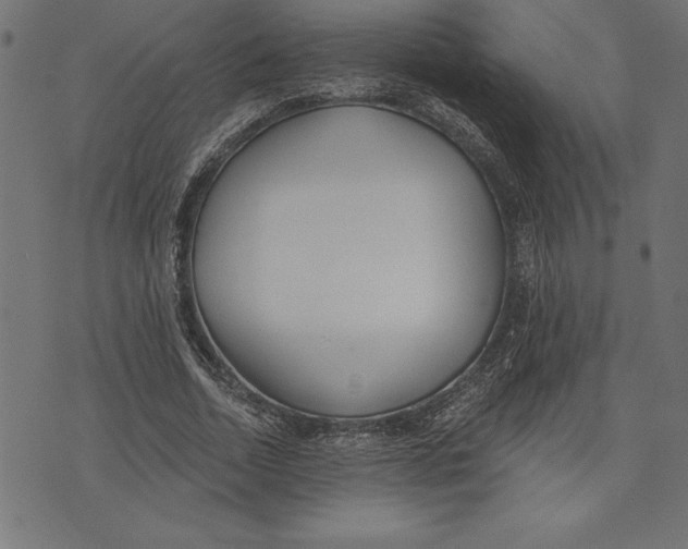 X0000073480730200608211624