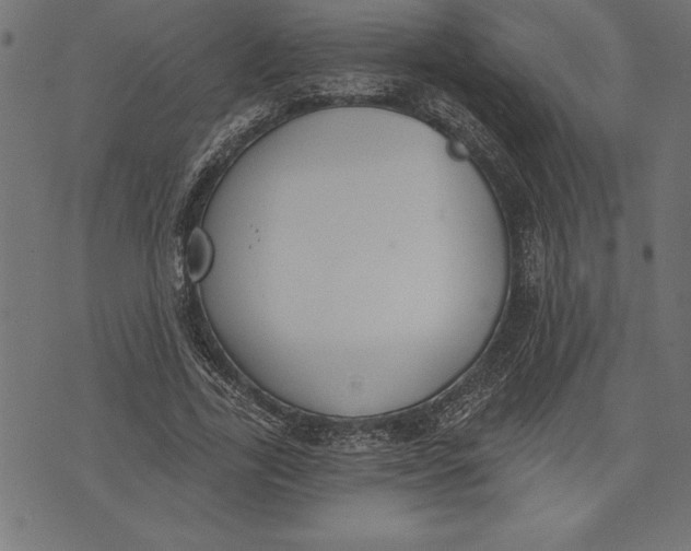 X0000073480731200608211624