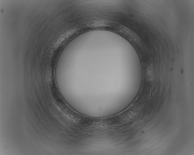 X0000073480732200608211624