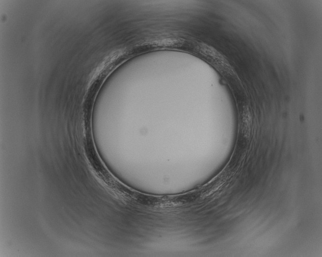 X0000073480734200608211624