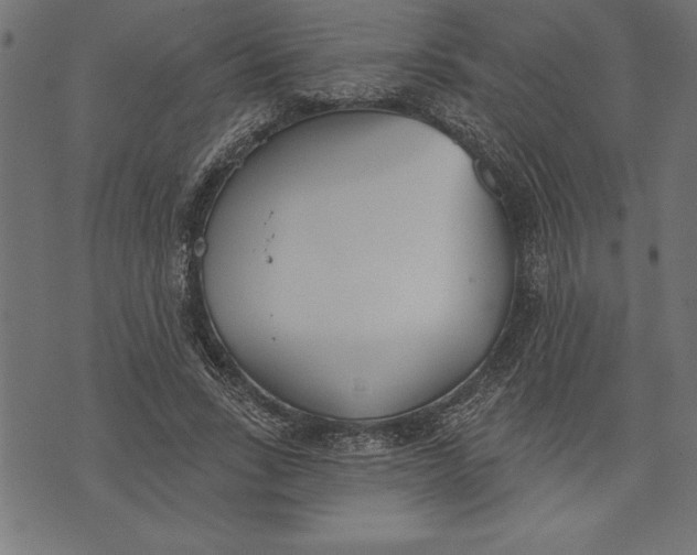 X0000073480735200608211624