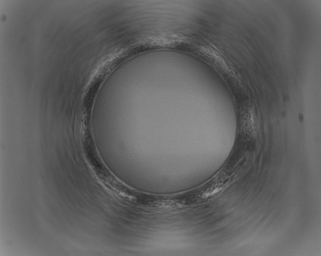 X0000073480736200608211624