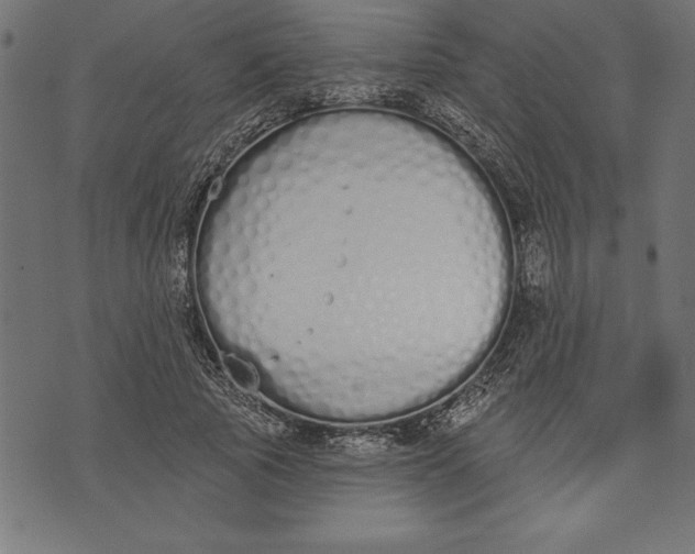 X0000073480737200608211624