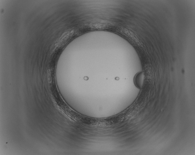 X0000073480738200608211624