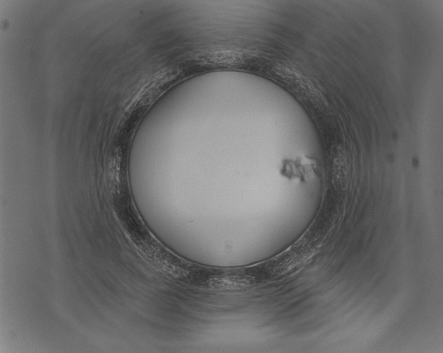 X0000073480739200608211624