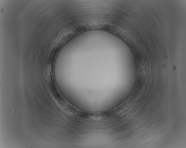 X0000073480742200608211624