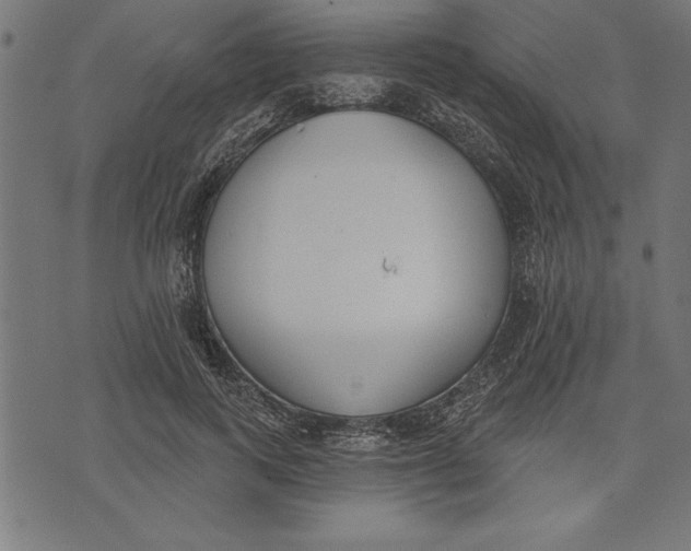 X0000073480743200608211624