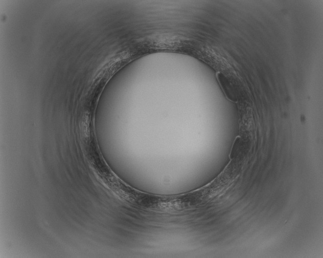 X0000073480744200608211624