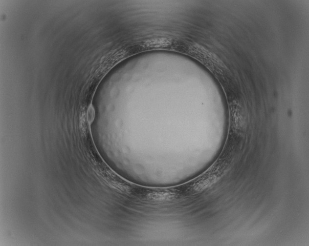 X0000073480745200608211624