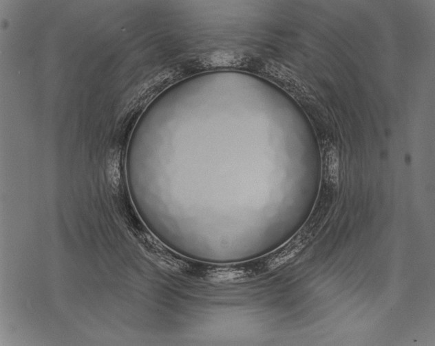 X0000073480746200608211624