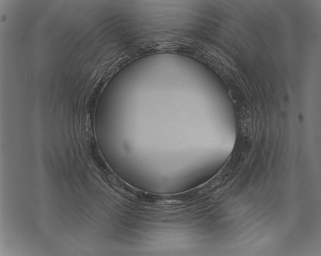 X0000073480748200608211624