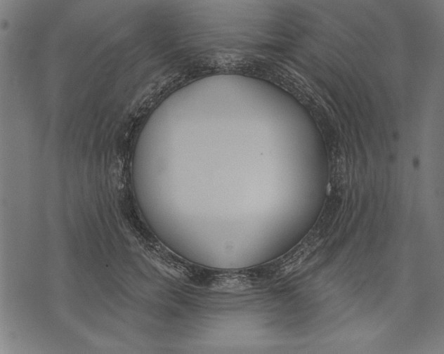 X0000073480750200608211624