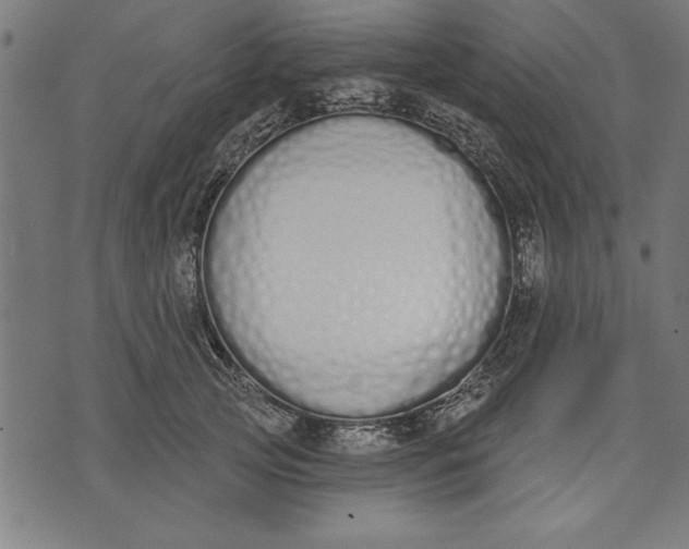 X0000073480753200608211624