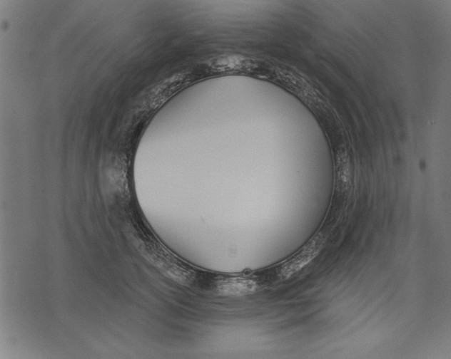 X0000073480754200608211624