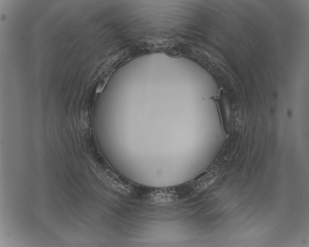 X0000073480756200608211624