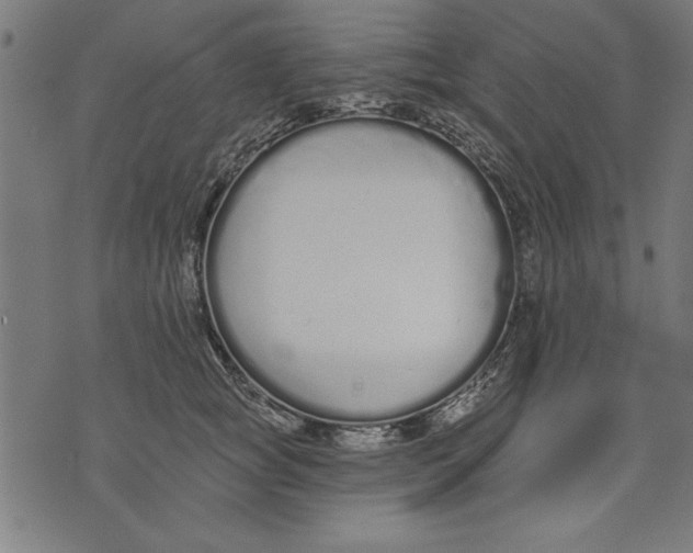 X0000073480757200608211624