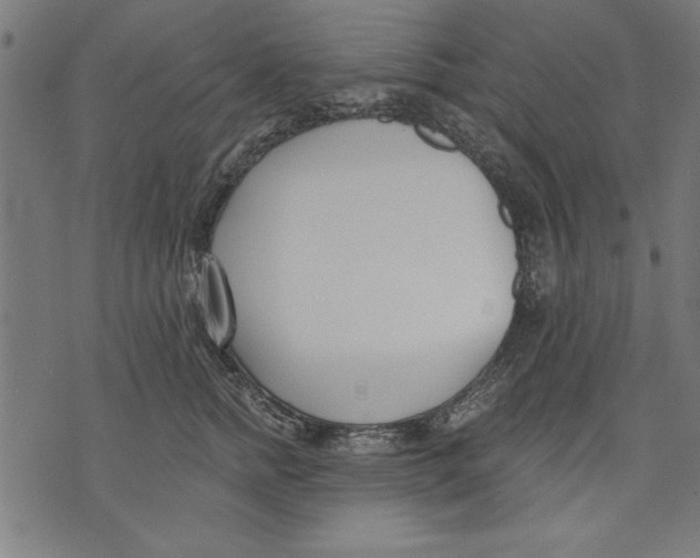 X0000073480758200608211624