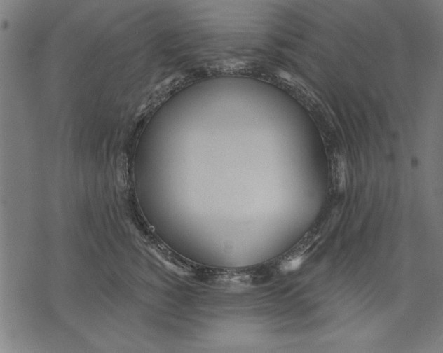 X0000073480760200608211624