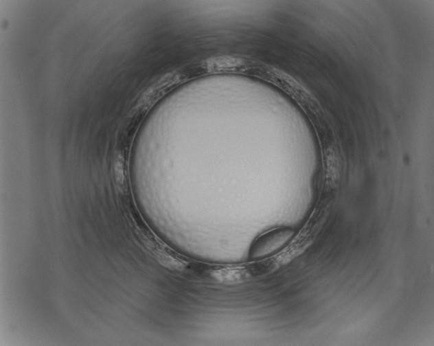 X0000073480761200608211625