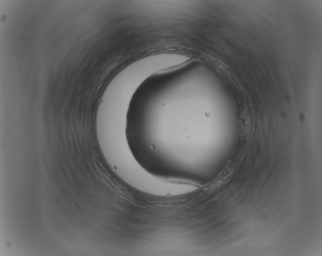 X0000073480762200608211625