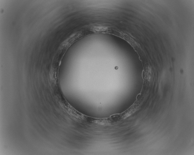 X0000073480763200608211625