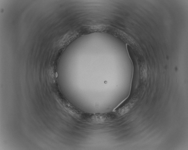 X0000073480764200608211625