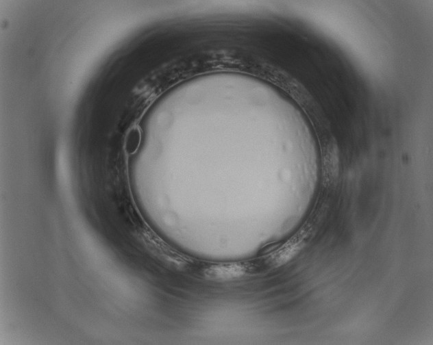 X0000073480765200608211625