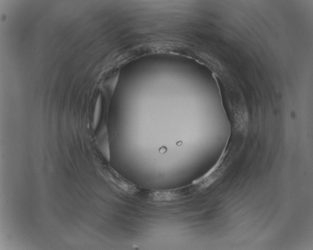 X0000073480766200608211625