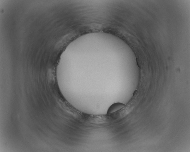 X0000073480768200608211625