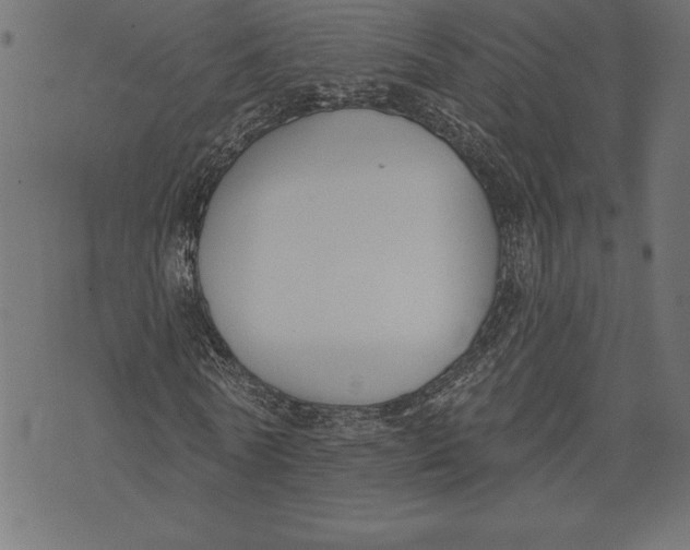 X0000073480770200608211624