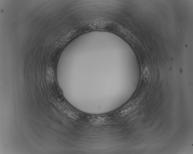 X0000073480772200608211624